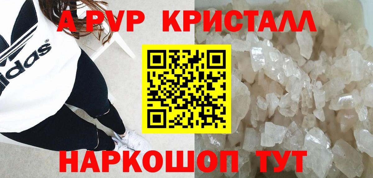 A-PVP СК Владивосток