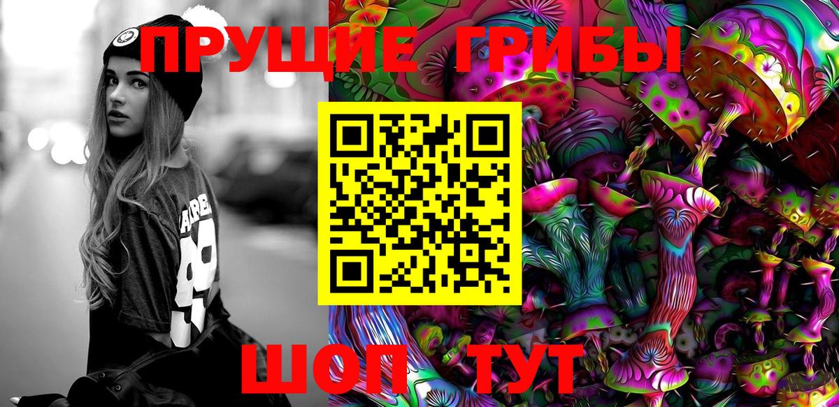 Владивосток  Псилоцибиновые грибы MAGIC MUSHROOMS  Вход с VPN 