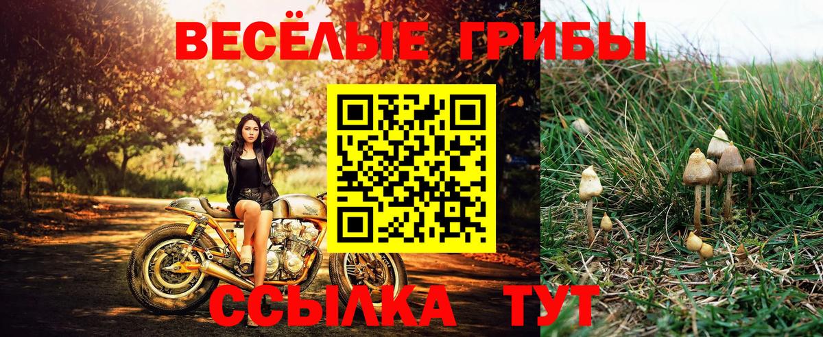 Галлюциногенные грибы ЛСД Владивосток